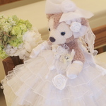 ダッフィー　シェリーメイ　サイズ　ウエルカムドール　ドレス　結婚式準備品結婚祝い　12de