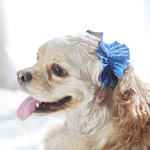 犬用  シュシュ 聖夜