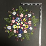 押し花  花便り NO.831