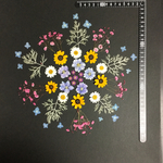 押し花  花便り NO.832