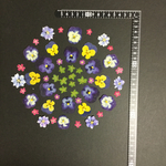 押し花  花便り NO.833