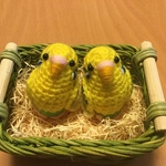 piyoyo1204さま♡ご注文専用ページ:セキセイインコ（黄ハルクイン）ペア セット