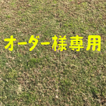 綿麻刺繍のワンピース