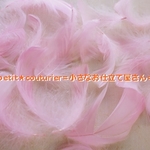 No.1589　ピンク色の本物フェザー　３０個セット