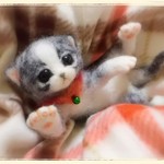 おねがいにゃんこＮｏ．47