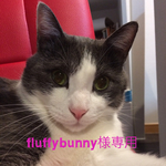fluffybunny様専用