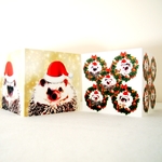 クリスマスカード 2枚セット　ハリネズミ ◆イギリスより送料無料◆ Christmas card/Xmas card/はりねずみ