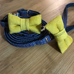 犬用首輪&リードセット