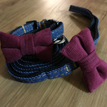 犬用首輪&リードセット