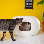 かまくらキャットハウス
