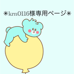 krn0116様専用ページです