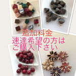 追加料金 速達便