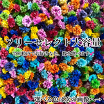 フリーセレクト【大容量】選べる色・数　かすみ草ドライフラワー
