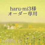 ＊haru-mi3様オーダー専用＊