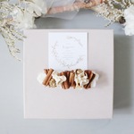 barrette " Fruit de l'arbre "