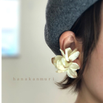 花びらをあつめて…antique white