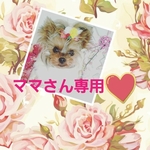 華-hana-