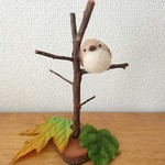 枝にとまったコサメビタキ