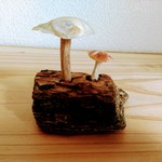 流木と貝殻のキノコ②