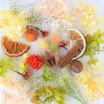  プリザーブドフラワー＆ドライフラワーパック　シトラスミックス