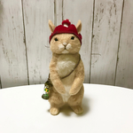 うさキノコ🍄赤帽子ちゃん