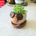 えりりんさん専用です。ミニミニ手乗りサイズの羊の植木鉢&受け皿のセット