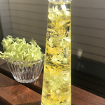 送料無料＊ハーバリウム＊ビタミンフラワー