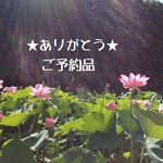 ya0306様専用/6点