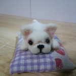 ぺしゃんこフレブル♪