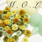 かすみ草ドライフラワー