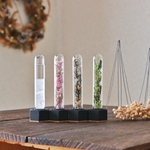 Flowertube➕Stormglass  冬の4本セット