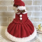 受注生産　サンタコス（うさぎハーネス）帽子付き