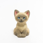コルクのトンキニーズ子猫