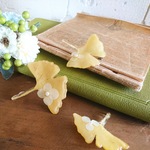  本物のイチョウyellow colored leaves2017＜ブローチ＞※大サイズ