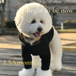 犬服 ぬくぬくシンプルパーカー