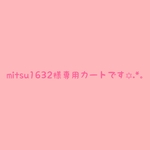 ＊mitsu1632様専用カートです＊