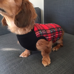 犬服‼︎ダックスS    チェックフリース レッド