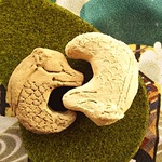 うぶたま