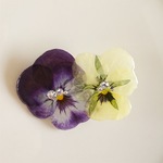 double violet  broach 2018  type B