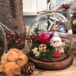 送料無料　Xmasdome