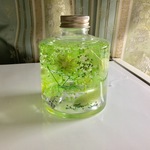 みるみるちゃん専用ページ ハーバリウム「物語の始まり」LED付き 5