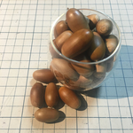 送料込★どんぐり