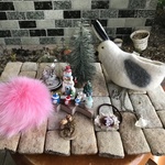 クリスマス特別福袋セット B