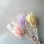 【outlet】花材 ラグラス 48本 A