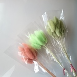 【outlet】花材 ラグラス 48本 F