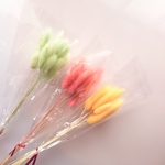 【outlet】花材 ラグラス 48本 H