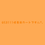 ＊653111様専用カートです＊