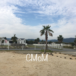 お客様専用m(_ _)m