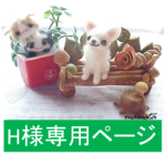 H様専用