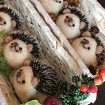 再販⑧見上げるハリネズミ